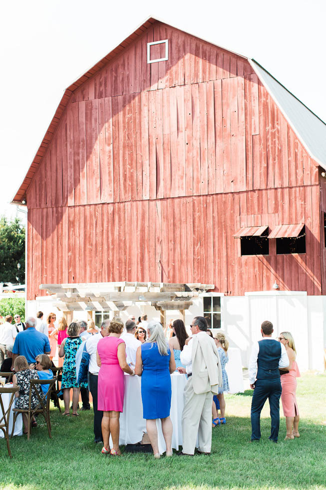 Ciccone Vineyard wedding cocktail hour