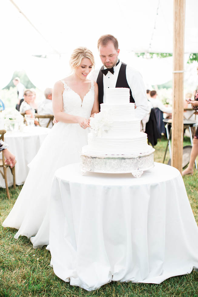 Traverse City wedding cake cutting