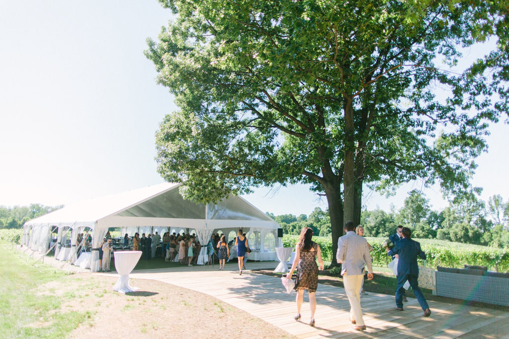 Guests walking into the tent at a 12 corners vineyard wedding