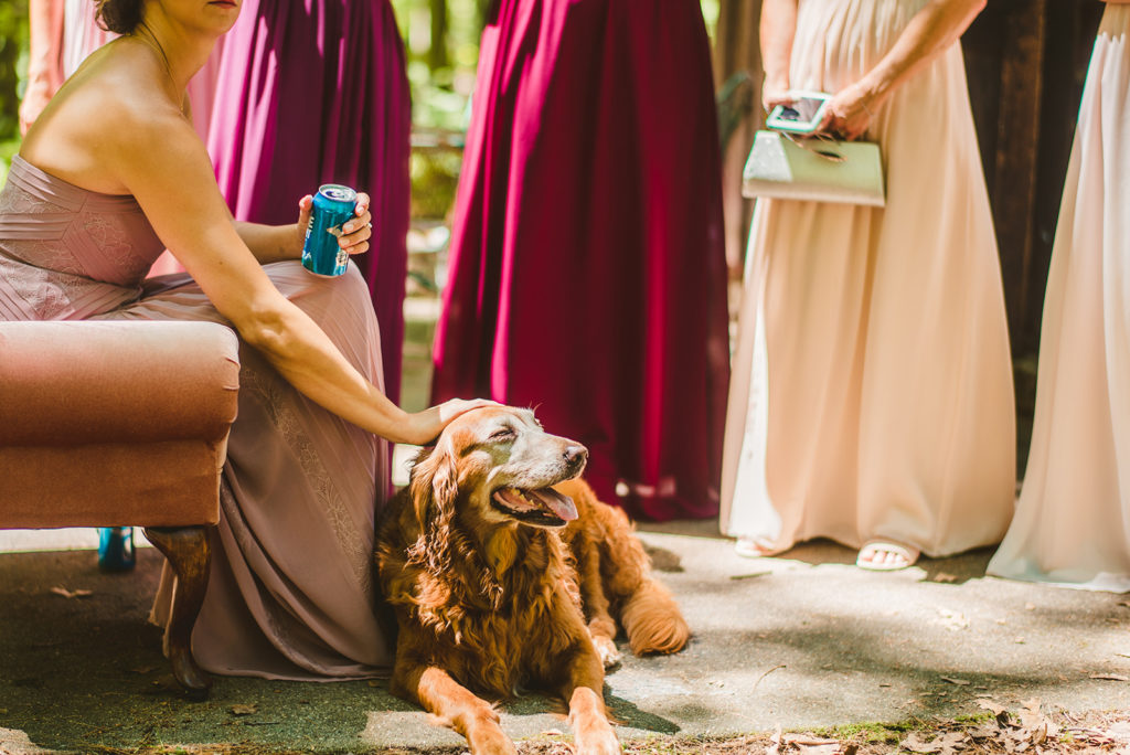 A bridesmaids petting a dog before a wedding ceremony