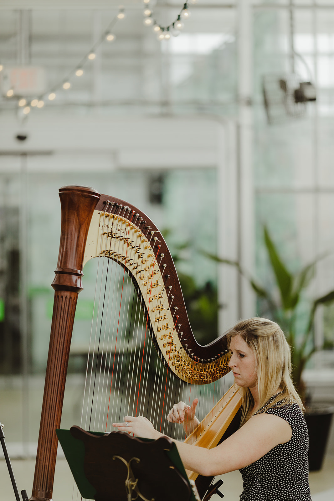 A musician playing before a Grand Rapids, Michigan wedding ceremony