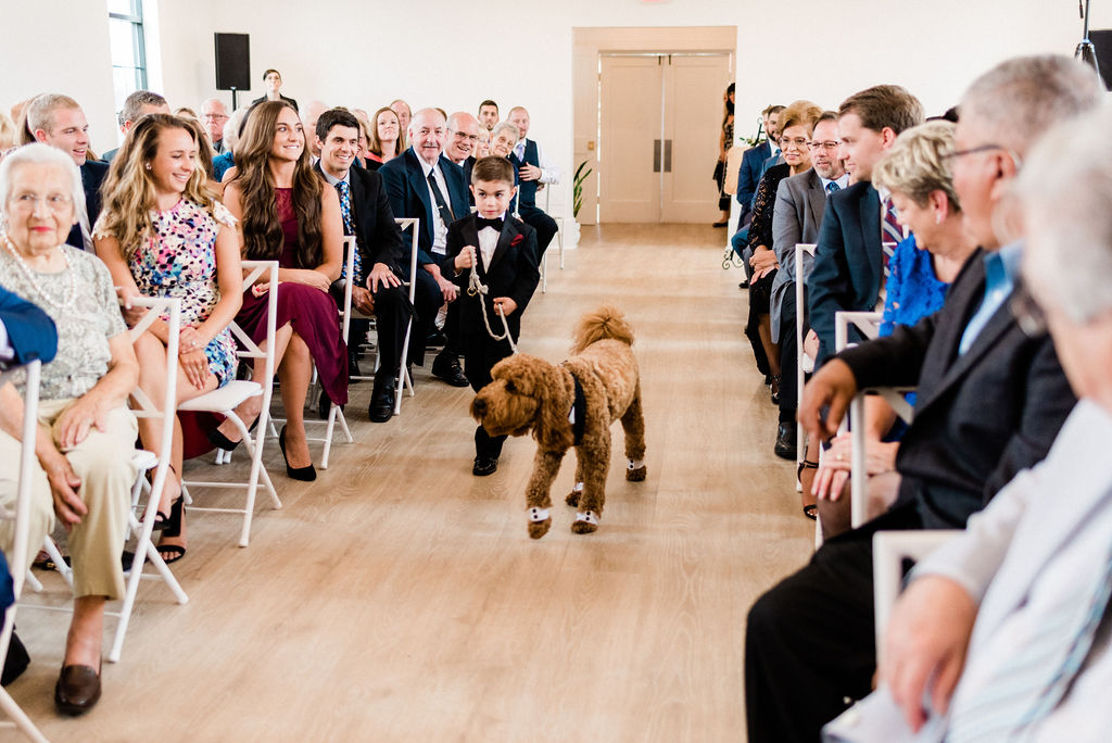 A dog and ring bearer walking down the aisle during a Kalamazoo, Michigan wedding