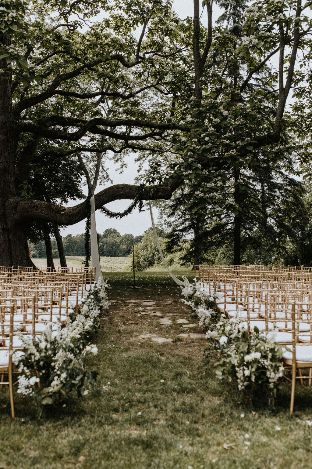 The Hidden Vineyard Wedding Barn ceremony tree.