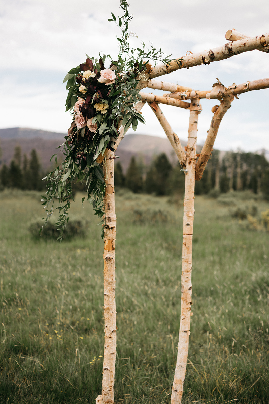 A blush wedding arch