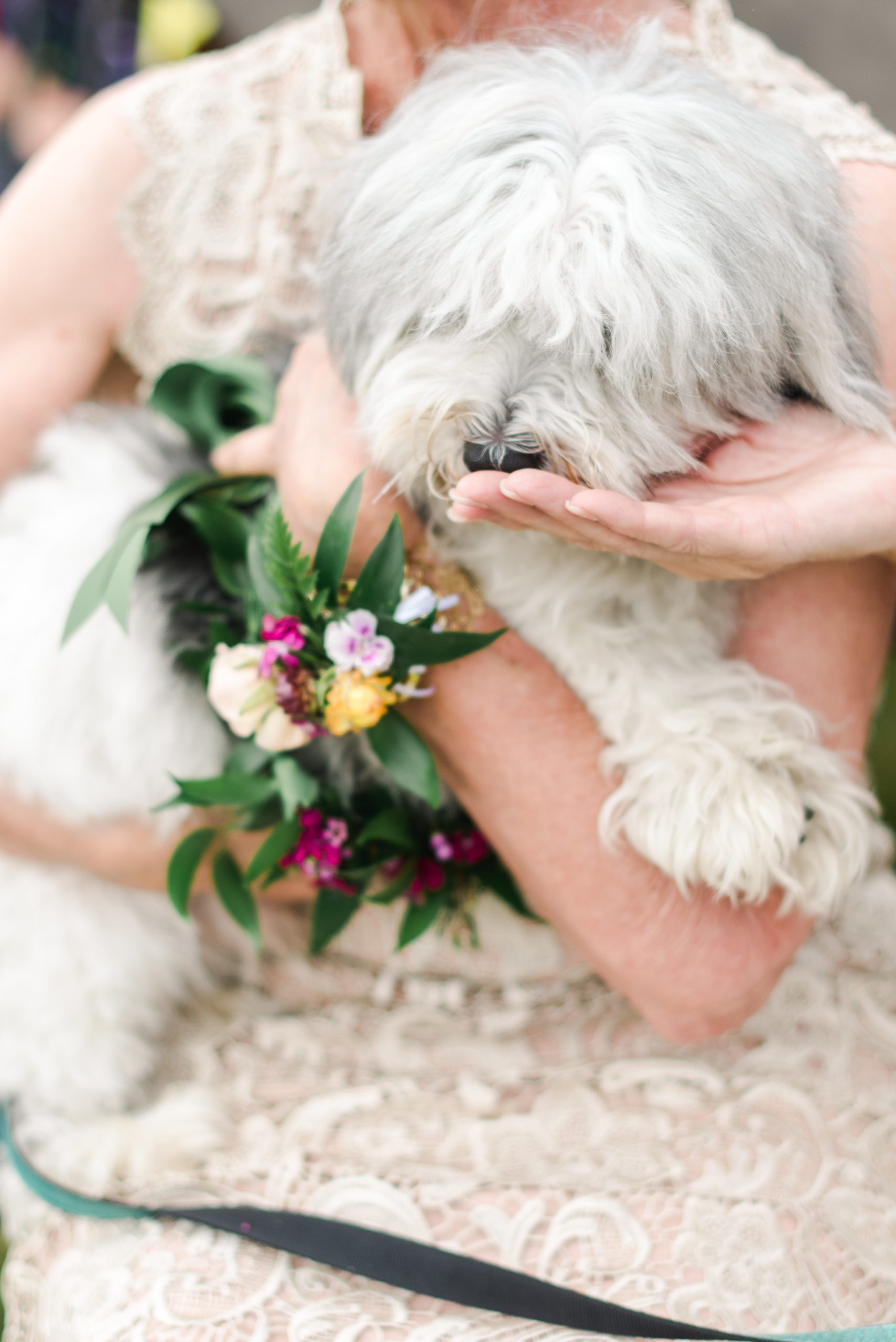 A flower bearer dog