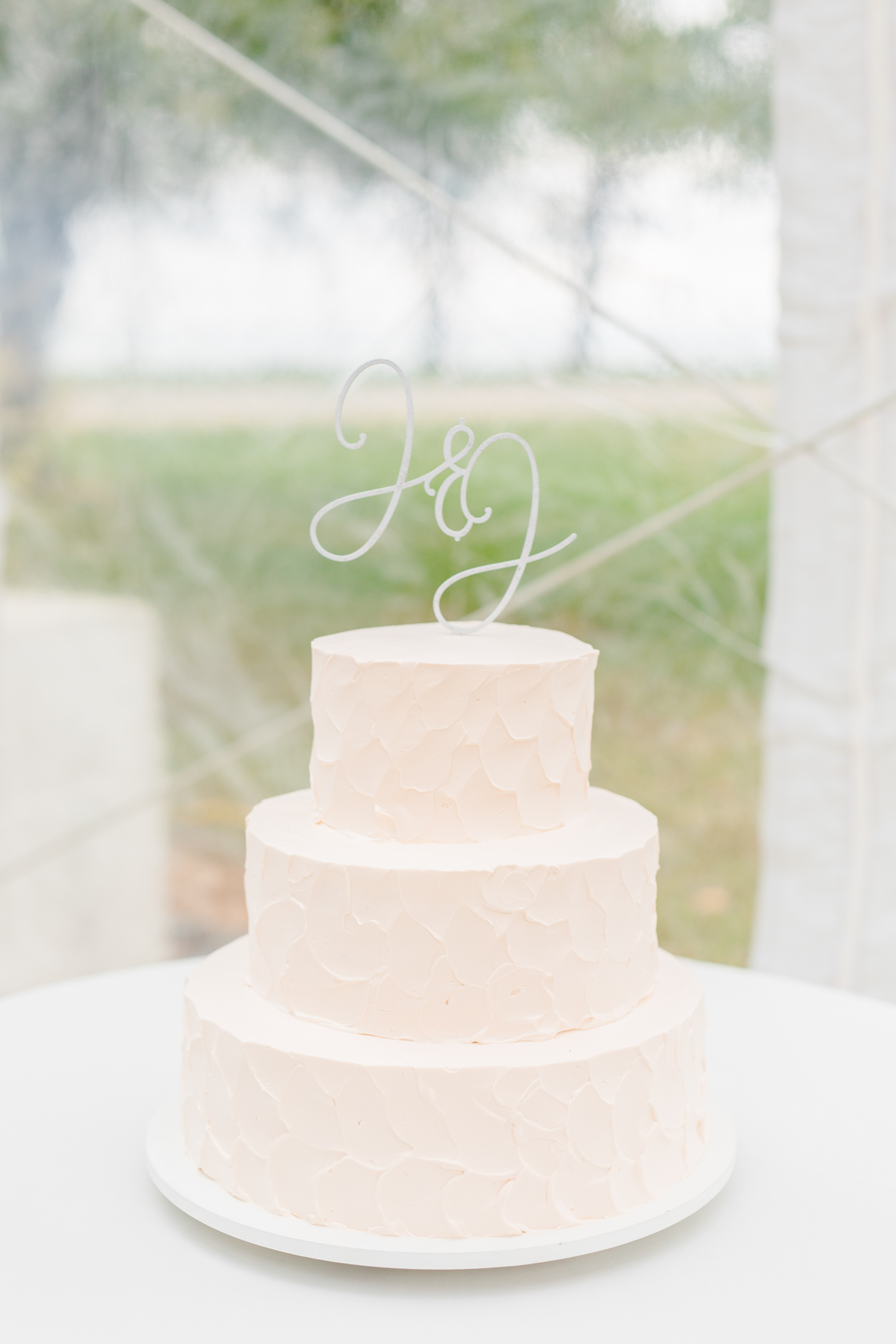 Cake for the Lakehouse wedding