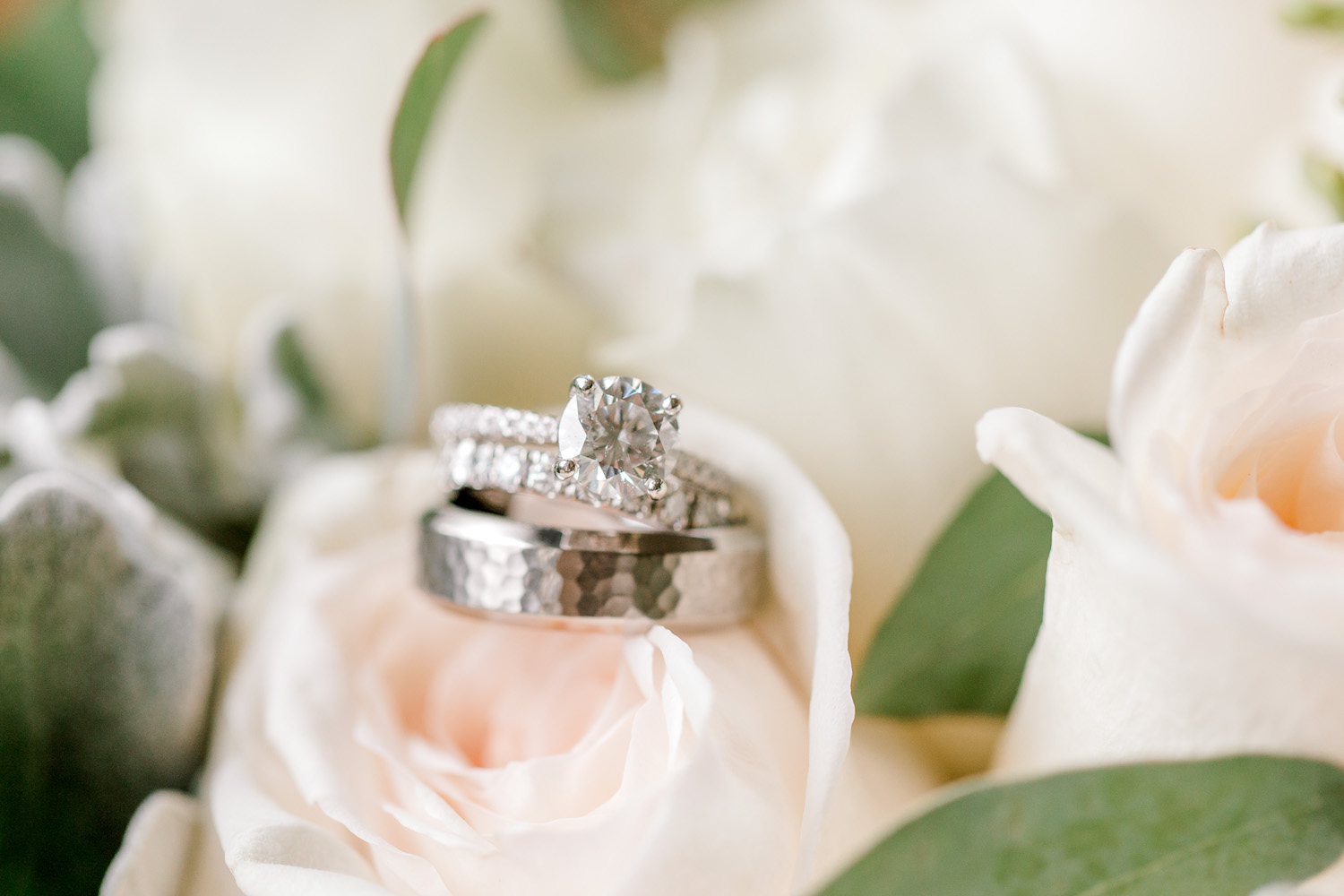 Wedding bands on rose